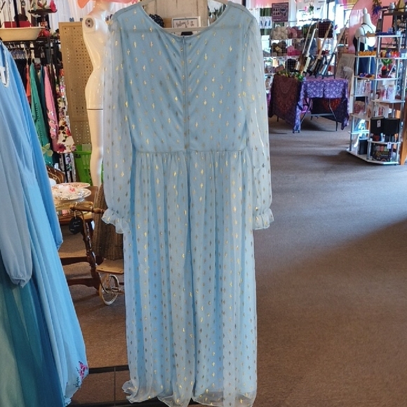 Princess Inspired Blue and Gold Dress - Picture 3 of 12